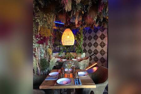 La Cotorra de Pepita, Bar Madrid  #0