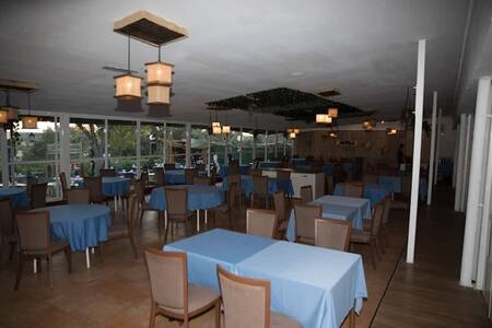 Rita la Bailaora, Bar Madrid  #0