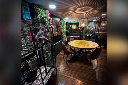 Uncle thaï, Restaurant Villeurbanne Gratte Ciel #0