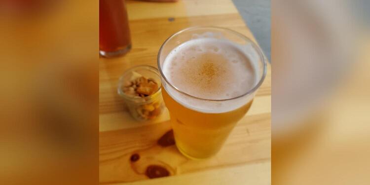 La Crique Sud Bistrot Culturel, bar