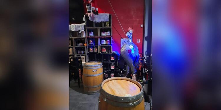 My Beers Voiron, bar