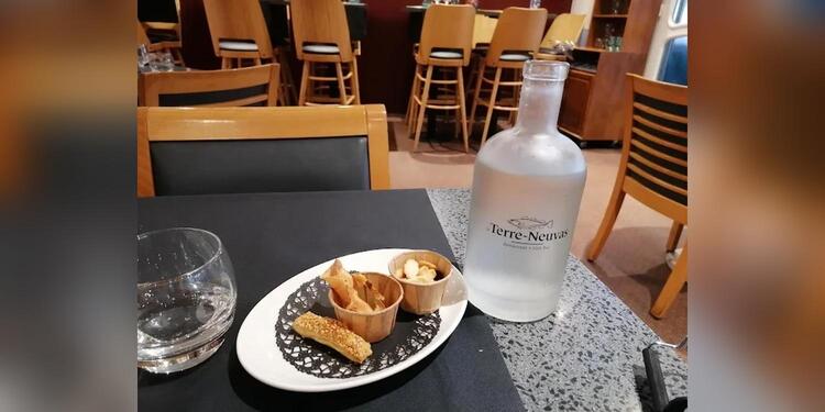 La terre neuve, bar