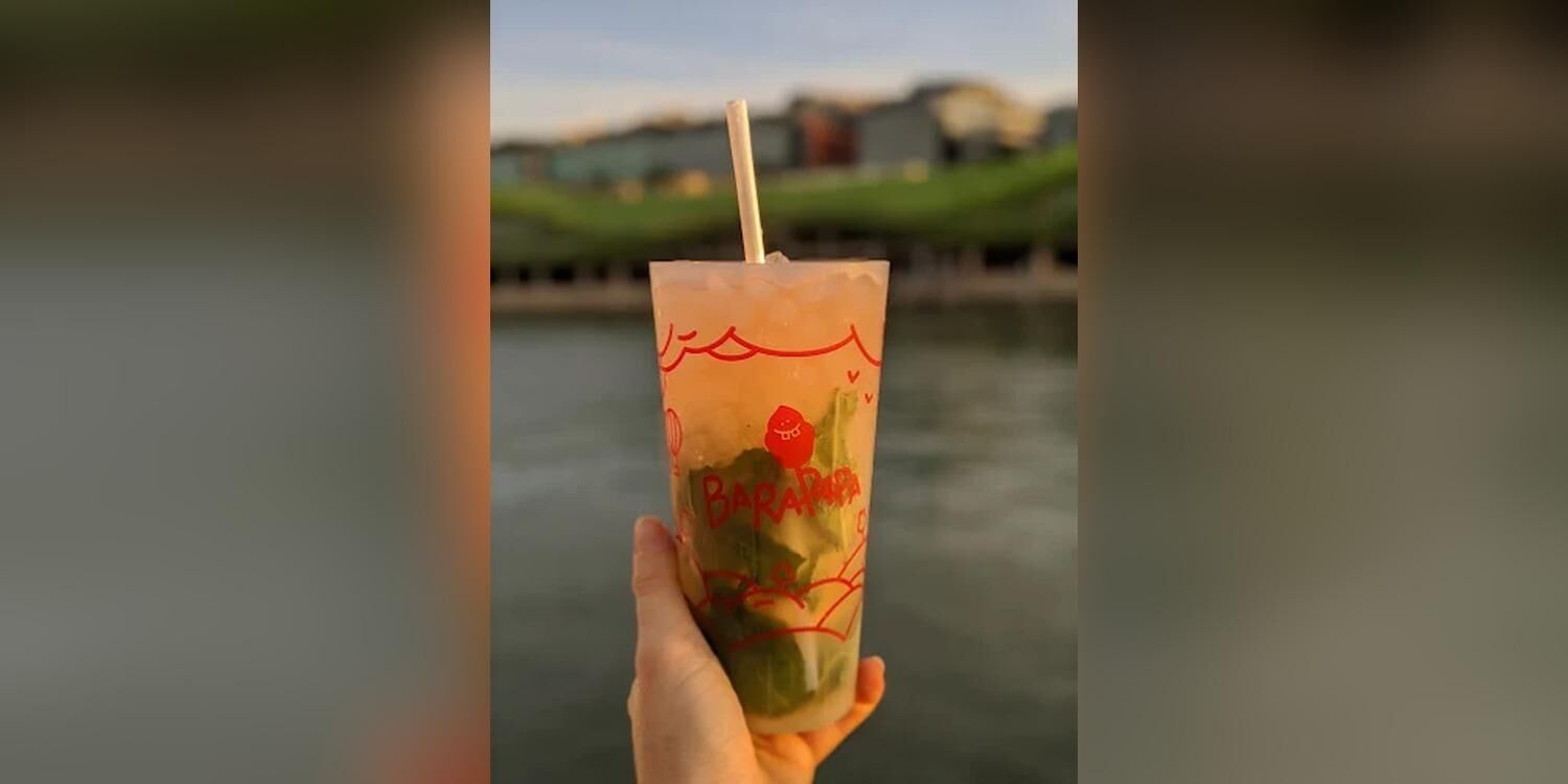 La Péniche du Barapapa - La Terrasse, bar