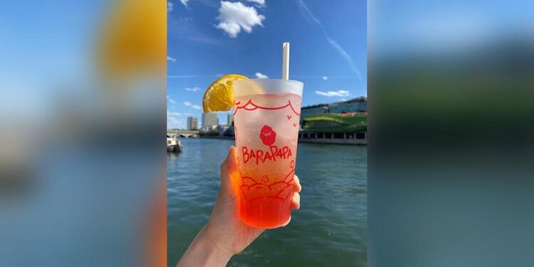 La Péniche du Barapapa - La Terrasse, bar