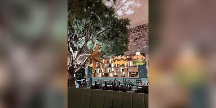 Mia Osteria, restaurant