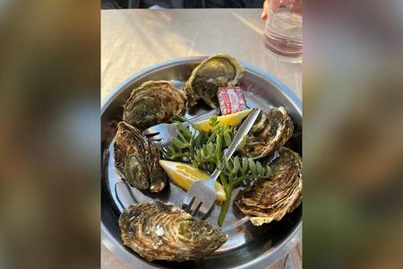 Ile Degaby, Restaurant Marseille  #0