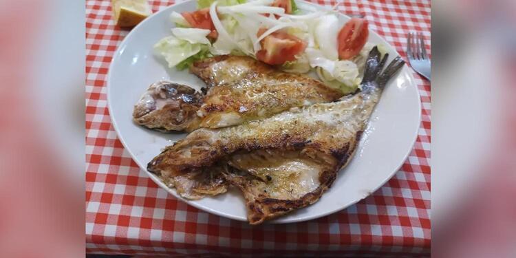 Bar y tapas El Tarugo, bar