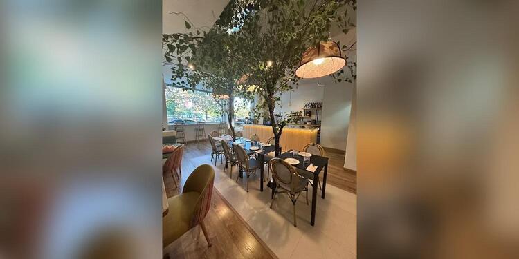 Hatillo | Restaurante Las Rosas, restaurant