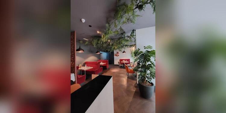 Bloved Restaurante, restaurant