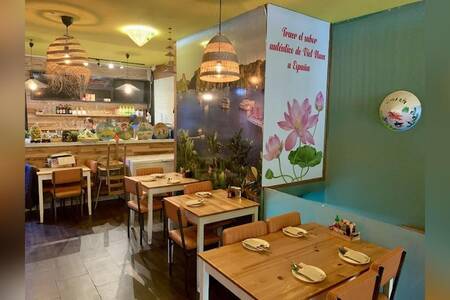 Es Vietnam Restaurant, Restaurante Madrid Centro #0