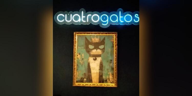 Bar Cuatrogatos, bar