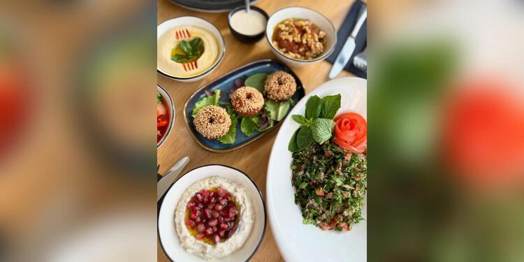 Chez FIRAS (Privatisation festive), rental_room