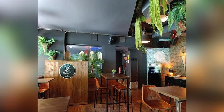 Bocachica Gastropub, restaurant