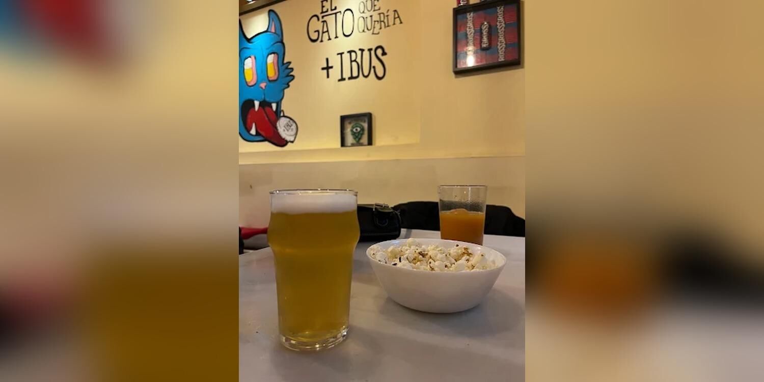 El Gato que quería más Ibus, bar