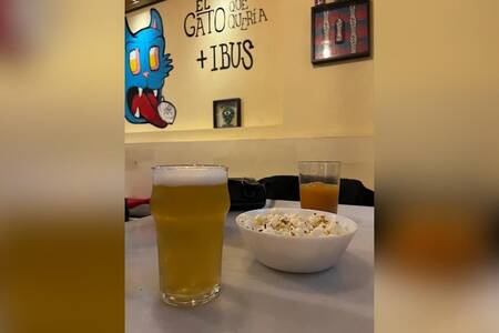 El Gato que quería más Ibus, Bar Valladolid  #0
