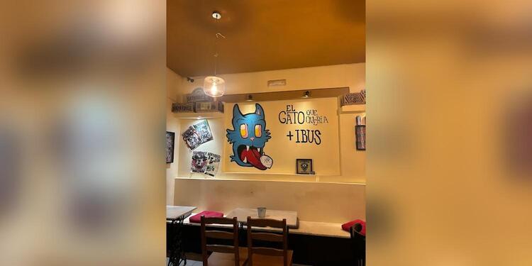 El Gato que quería más Ibus, bar