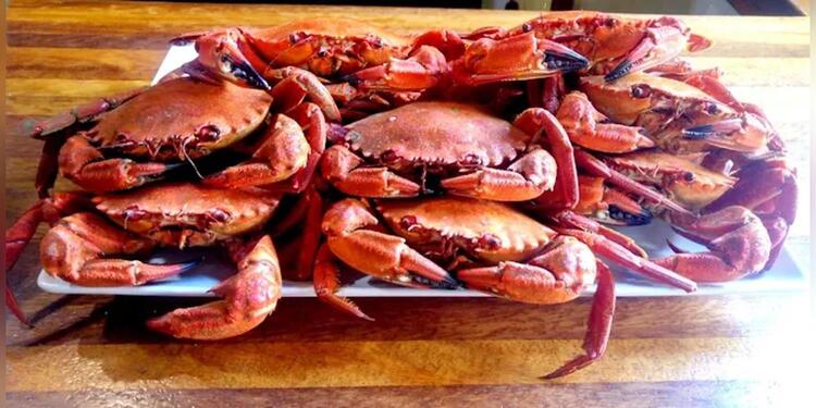 Cafe Bar la Plaza, bar