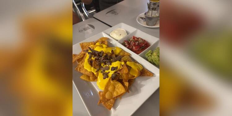 Camperos y + olé l Camperos Málaga, restaurant