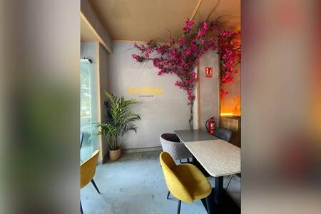 Cocolinda, Restaurante València El Pla del Real #0