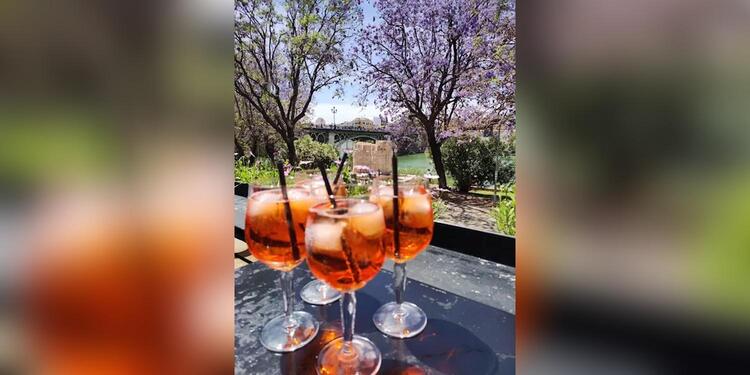 Lounge Terraza Lonja del Barranco, bar