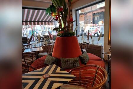 Volcánico, Bar Valladolid Las Delicias #0