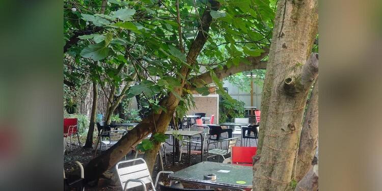 Jardín Secreto Bilbao, restaurant