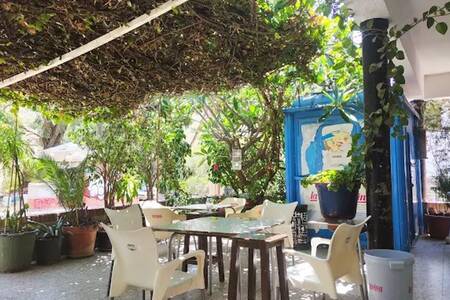 Bar Cocodrilo, Bar Málaga  #0