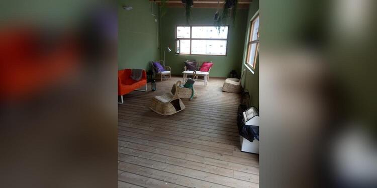 Café bar Bcool gourmet, bar