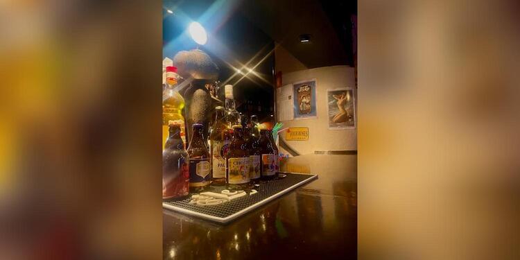 El Alambique de la Sabina, bar