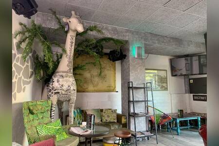 Koalalumpur, Bar Zaragoza Universidad #0