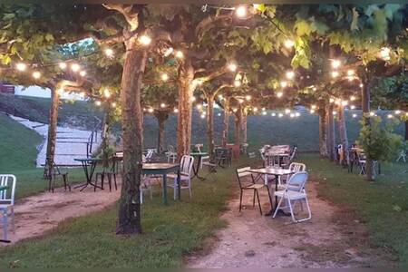 Garden's Folies, Bar Royan Chay #0