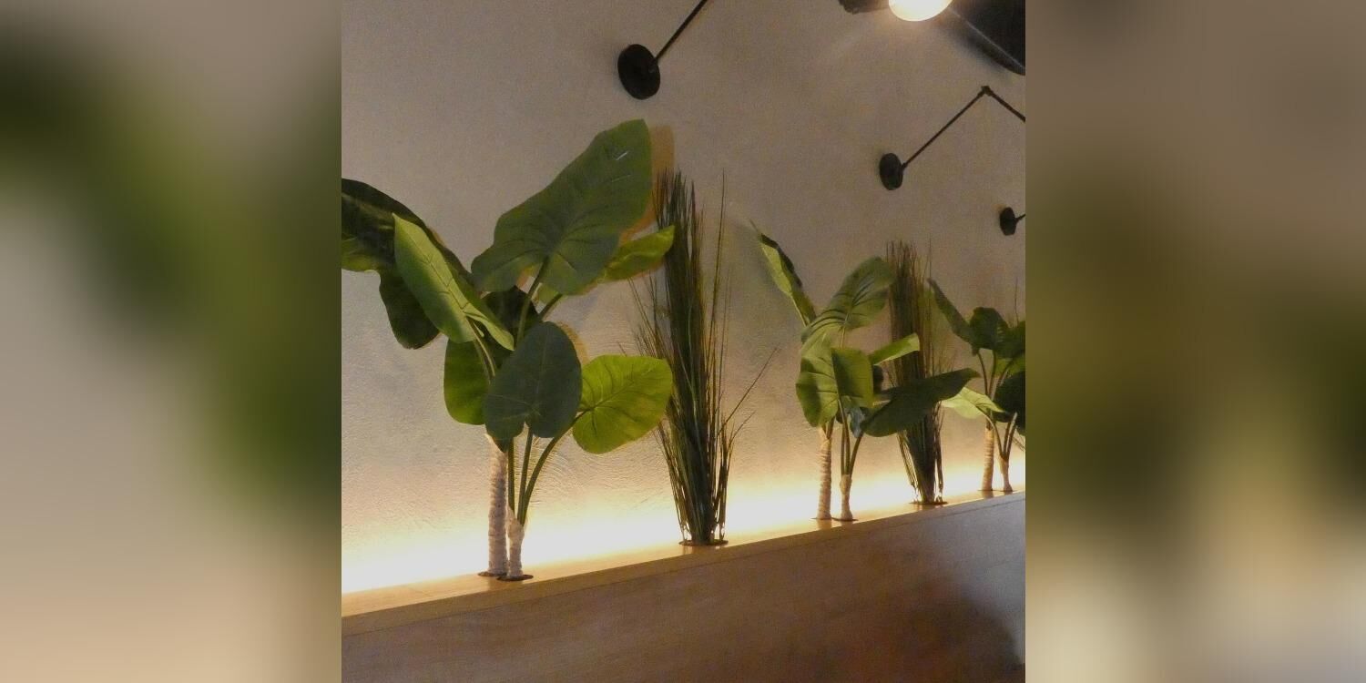 Vademecum Cafe Y Copas, bar