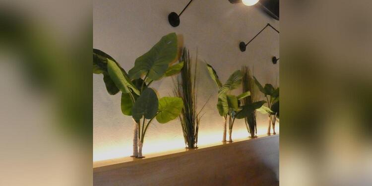 Vademecum Cafe Y Copas, bar