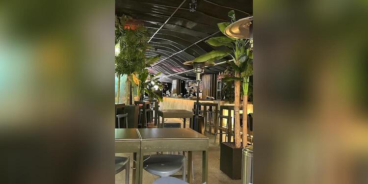 Lounge Bar Moss, bar