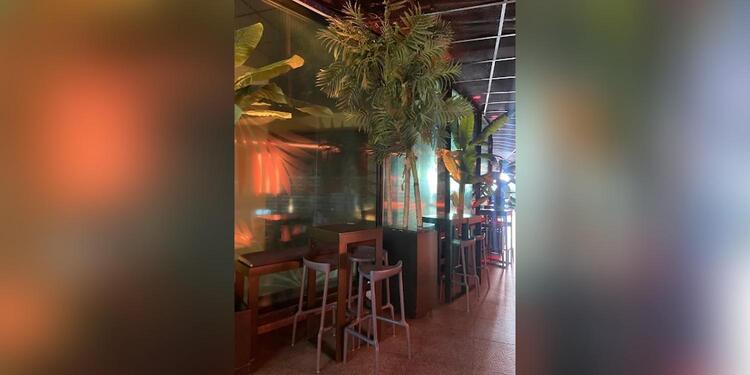 Lounge Bar Moss, bar