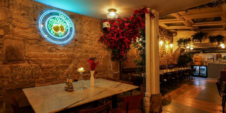 Casa Verde Montorgueil, bar