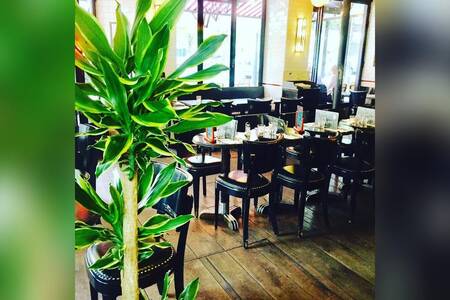 Café Basile Paris 15, Restaurant Paris Necker #0