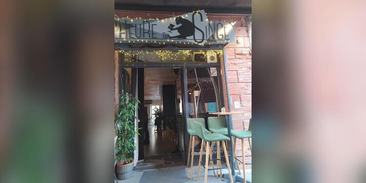 L'Heure du Singe, bar