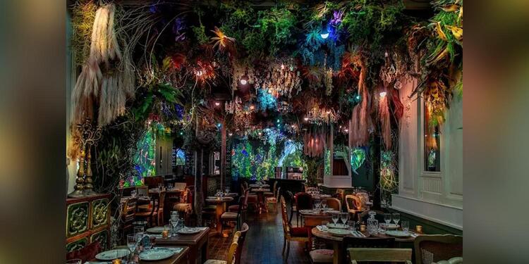 Jungle Palace Restaurant - Ephemera, restaurant