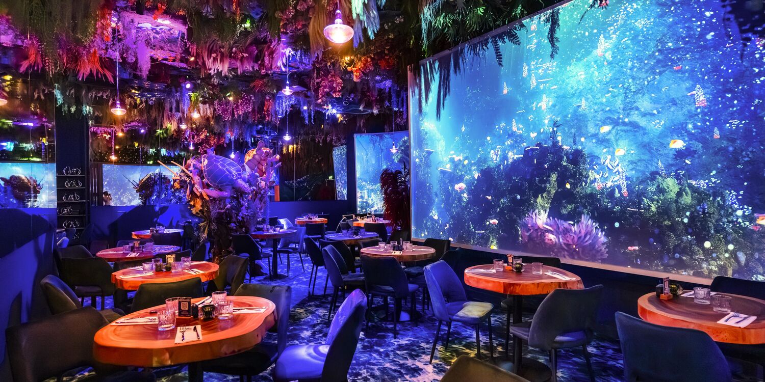 Under the sea by Ephemera - Montpellier, restaurant