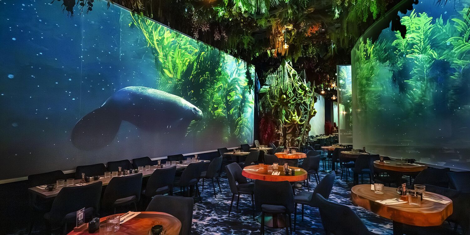 Under the sea by Ephemera - Montpellier, restaurant