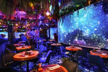 Under the sea by Ephemera - Montpellier, Restaurant Montpellier  Odysseum #0
