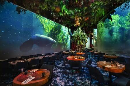 Under the sea by Ephemera - Montpellier, Restaurant Montpellier  Odysseum #0