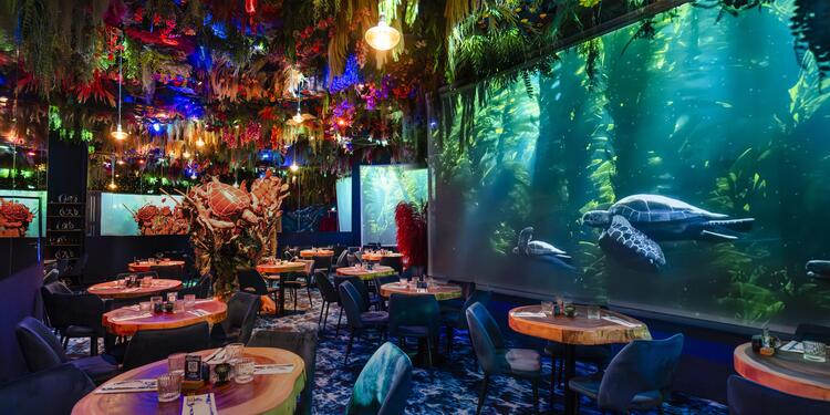 Under the sea by Ephemera - Montpellier, restaurant