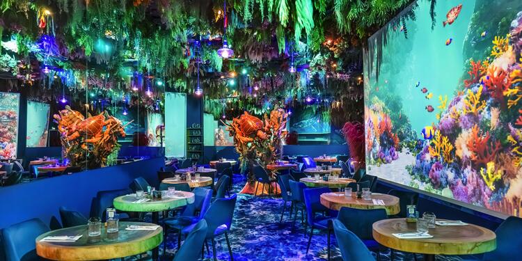 Under the sea by Ephemera - Montpellier, restaurant