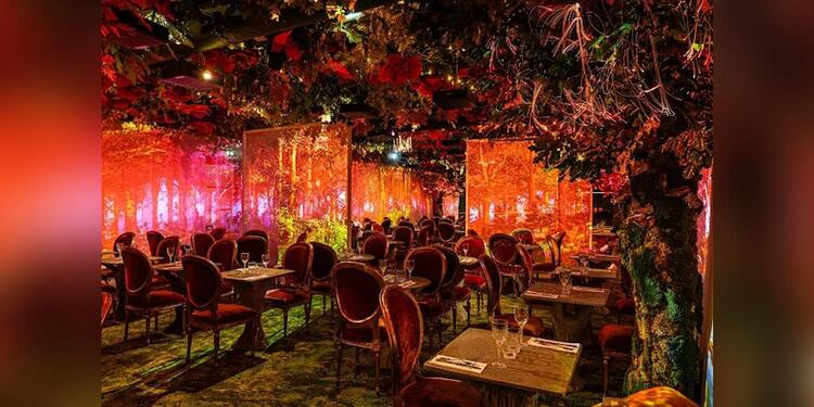 Wonderwoods Restaurant - Ephemera, restaurant