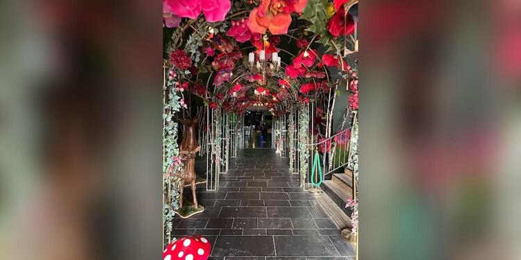 Wonderwoods by Ephemera - Angers, restaurant