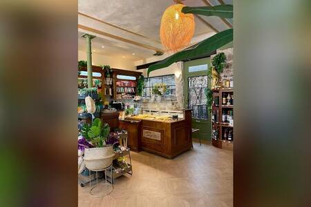 Comptoir Latino, Bar Rouen Centre historique #0