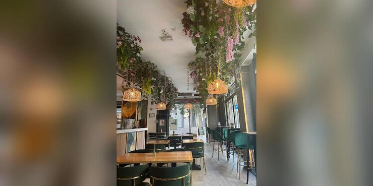 Kalexo Coffee and Bar, bar