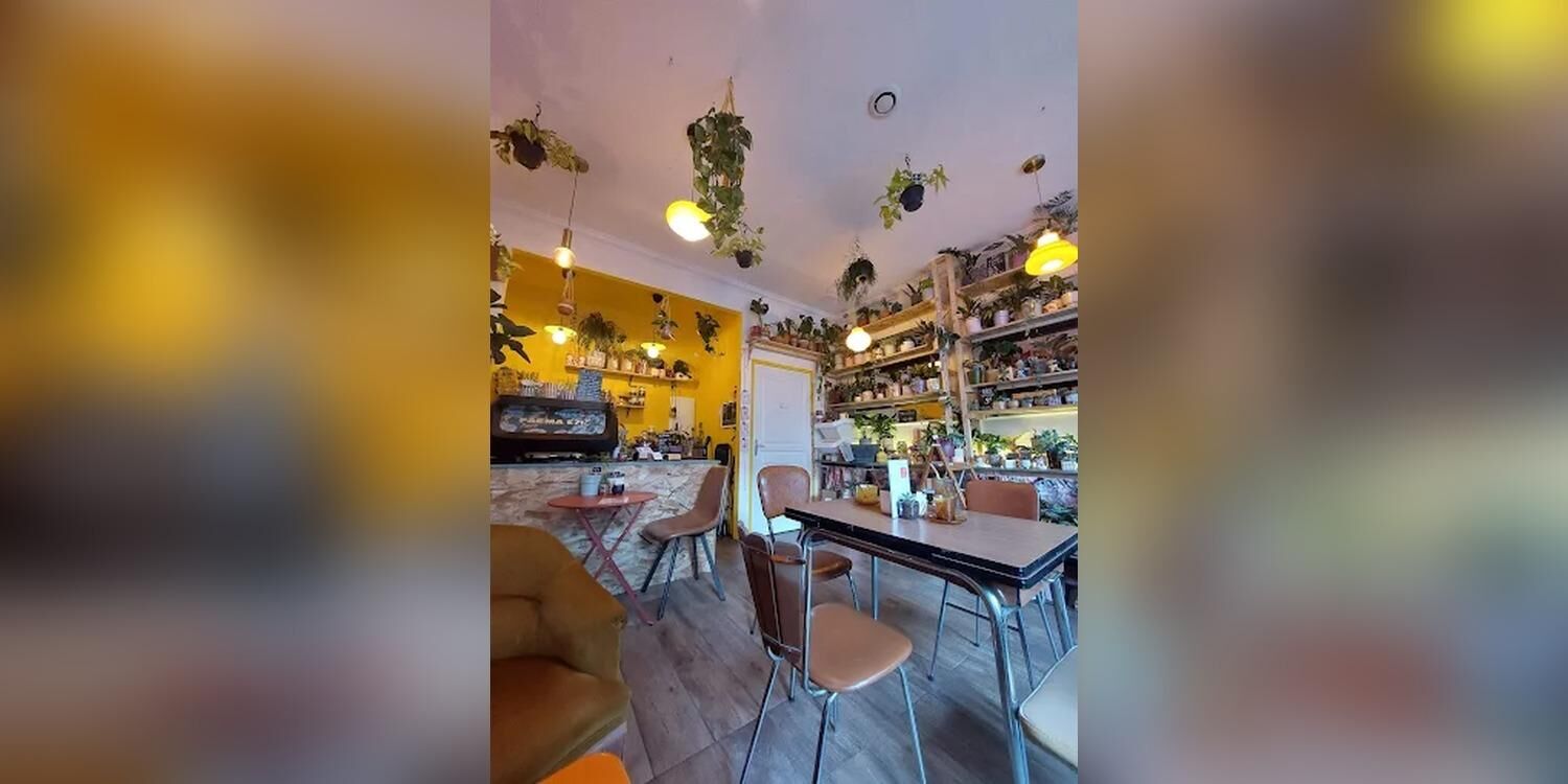 MimiMosa, bar